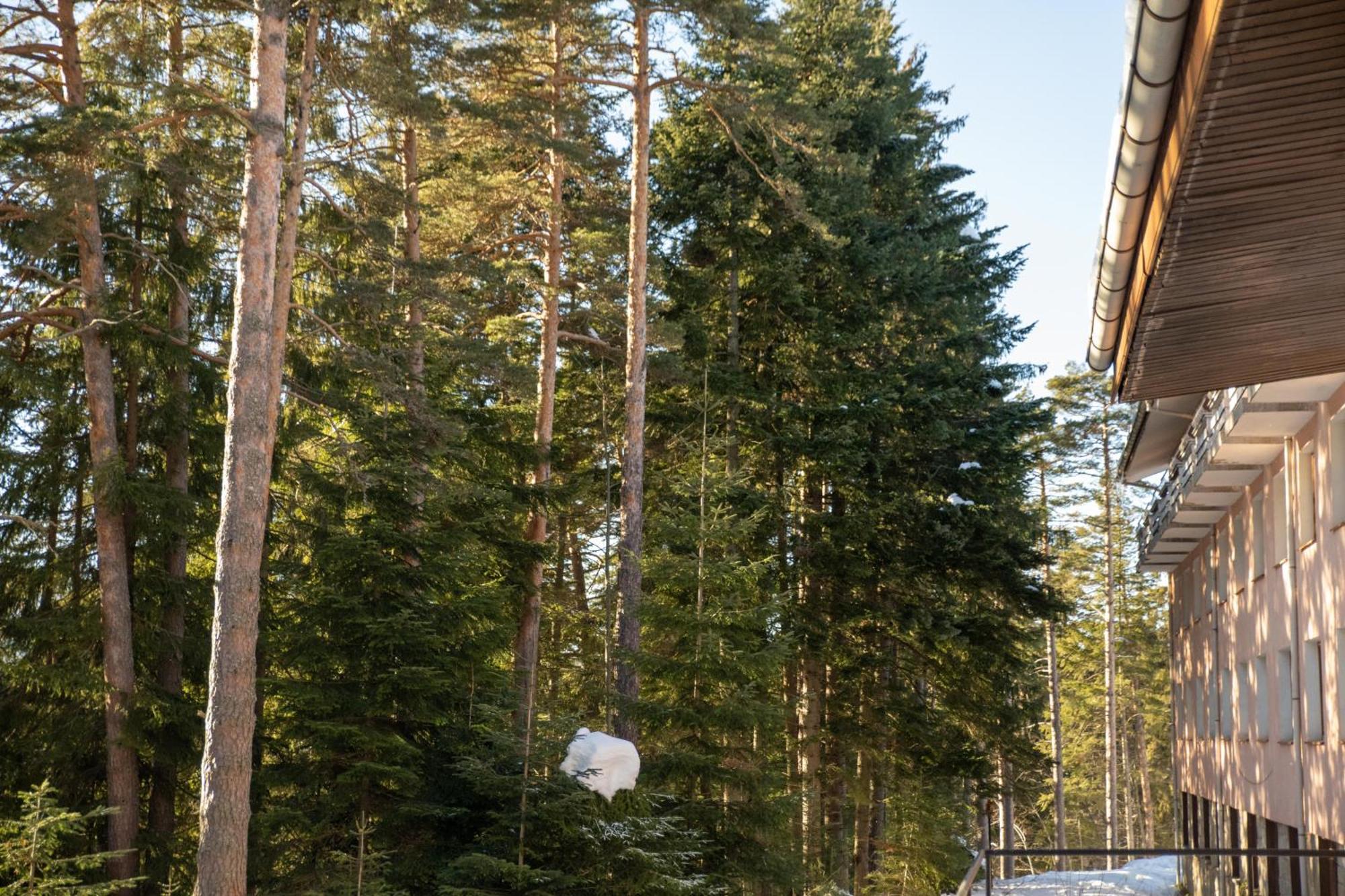 Hotel Borovets Edelweiss Eksteriør billede